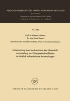 Untersuchung zum Mechanismus der Ultraschallvernebelung an Flüssigkeitsoberflächen im Hinblick auf technische Anwendungen