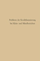 Probleme der Kreditfinanzierung bei Klein- und Mittelbetrieben