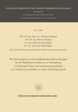 Berechnungsgang und grundlegende Untersuchungen für ein Reduktionsverfahren zur Herstellung von flüssigem Eisen mit Umsetzungsprodukten von Kohlenwasserstoffen in einem Verfahrensschritt