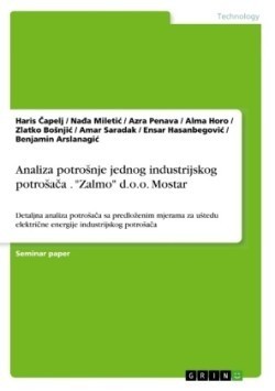 Analiza potrosnje jednog industrijskog potrosa&#269;a . Zalmo d.o.o. Mostar