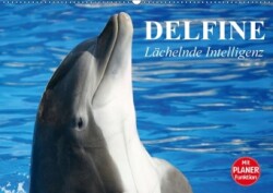 Delfine - Lächelnde Intelligenz (Wandkalender 2018 DIN A2 quer)