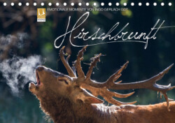 Emotionale Momente: Hirschbrunft (Tischkalender 2019 DIN A5 quer)