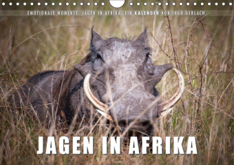 Emotionale Momente: Jagen in Afrika. (Wandkalender 2019 DIN A4 quer)