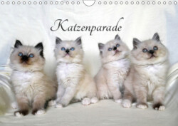 Katzenparade (Wandkalender 2019 DIN A4 quer)