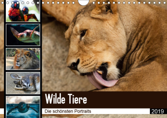 Wilde Tiere - Die sch?nsten Portraits (Wandkalender 2019 DIN A4 quer)