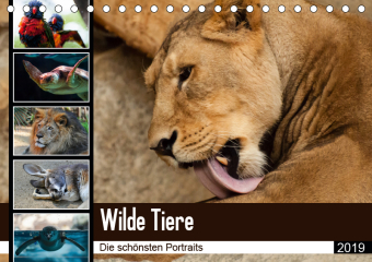 Wilde Tiere - Die sch?nsten Portraits (Tischkalender 2019 DIN A5 quer)