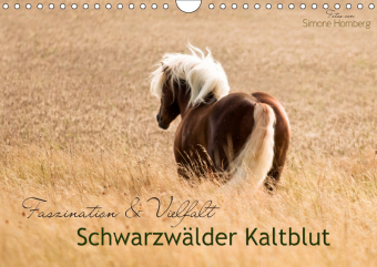 Faszination und Vielfalt - Schwarzwälder Kaltblut (Wandkalender 2019 DIN A4 quer)