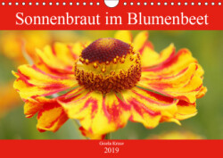 Sonnenbraut im Blumenbeet (Wandkalender 2019 DIN A4 quer)