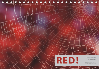 RED! (Tischkalender 2019 DIN A5 quer)