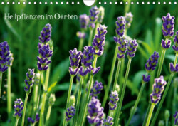 Heilpflanzen im Garten (Wandkalender 2019 DIN A4 quer)