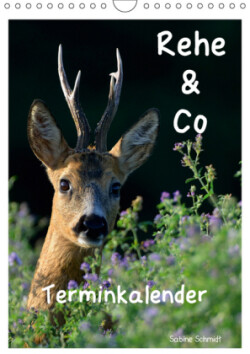 Rehe & Co / Planer (Wandkalender 2019 DIN A4 hoch)