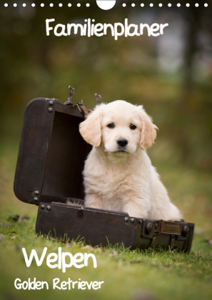 Familienplaner: Golden Retriever Welpen (Wandkalender 2019 DIN A4 hoch)