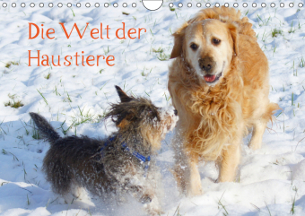 Die Welt der Haustiere (Wandkalender 2019 DIN A4 quer)