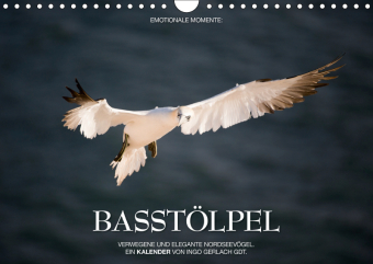 Emotionale Momente: Basst?lpel (Wandkalender 2019 DIN A4 quer)