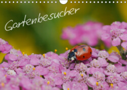 Gartenbesucher (Wandkalender 2019 DIN A4 quer)