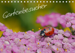 Gartenbesucher (Tischkalender 2019 DIN A5 quer)