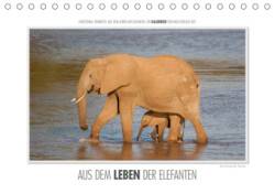 Emotionale Momente: Aus dem Leben der Elefanten. (Tischkalender 2019 DIN A5 quer)