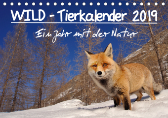 WILD - Tierkalender 2019 (Tischkalender 2019 DIN A5 quer)