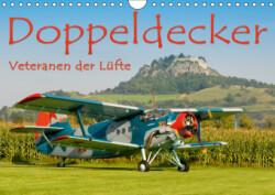 Doppeldecker - Veteranen der Lüfte (Wandkalender 2019 DIN A4 quer)