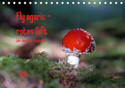 Fly agaric - rotes Gift (Tischkalender 2019 DIN A5 quer)