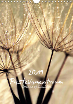 Pusteblumentraum - Dreams of Dandelion (Wandkalender 2019 DIN A4 hoch)