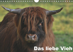 Das liebe Vieh (Wandkalender 2019 DIN A4 quer)