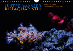 UNTER WASSER Riffaquaristik (Wandkalender 2019 DIN A4 quer)