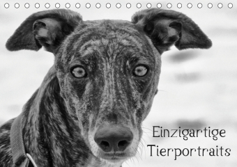 Einzigartige Tierportraits (Tischkalender 2019 DIN A5 quer)