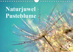 Naturjuwel Pusteblume (Wandkalender 2019 DIN A4 quer)