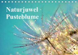 Naturjuwel Pusteblume (Tischkalender 2019 DIN A5 quer)