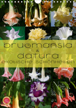 Brugmansia & Datura - Exotische Schönheiten (Wandkalender 2019 DIN A4 hoch)