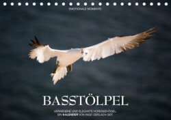 Emotionale Momente: Basstölpel / CH-Version (Tischkalender 2019 DIN A5 quer)