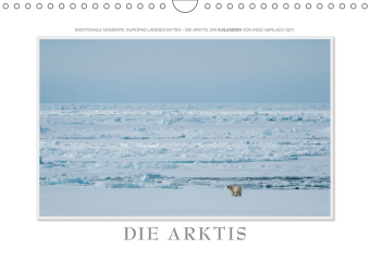 Emotionale Momente: Die Arktis / CH-Version (Wandkalender 2019 DIN A4 quer)