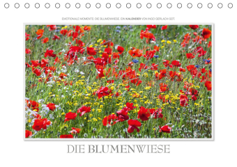 Emotionale Momente: Die Blumenwiese. / CH-Version (Tischkalender 2019 DIN A5 quer)