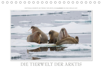 Emotionale Momente: Die Tierwelt der Arktis / CH-Version (Tischkalender 2019 DIN A5 quer)