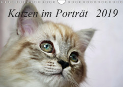 Katzen im Porträt / Geburtstagskalender (Wandkalender 2019 DIN A4 quer)
