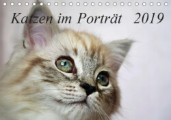 Katzen im Porträt / Geburtstagskalender (Tischkalender 2019 DIN A5 quer)