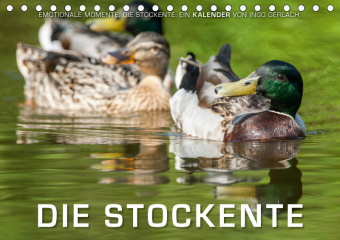 Emotionale Momente: Die Stockente. (Tischkalender 2019 DIN A5 quer)