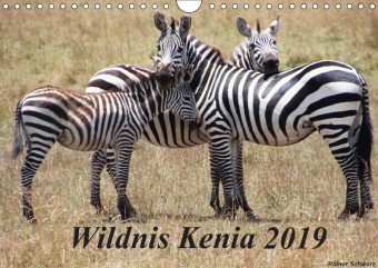Wildnis Kenia 2019 (Wandkalender 2019 DIN A4 quer)