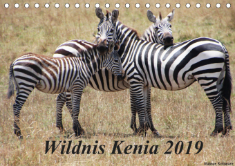 Wildnis Kenia 2019 (Tischkalender 2019 DIN A5 quer)