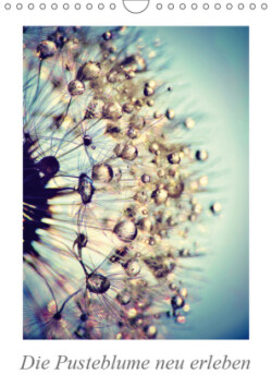Die Pusteblume neu erleben (Wandkalender 2019 DIN A4 hoch)
