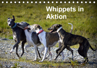 Whippets in AktionAT-Version (Tischkalender 2019 DIN A5 quer)