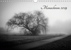 Monochrom 2019 (Wandkalender 2019 DIN A4 quer)