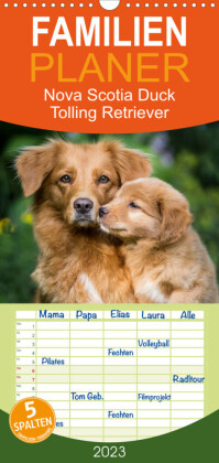 Familienplaner Toller - Nova Scotia Duck Tolling Retriever (Wandkalender 2023 , 21 cm x 45 cm, hoch)