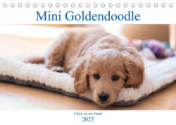 Mini Goldendoodle - Glück ist ein Hund (Tischkalender 2023 DIN A5 quer)
