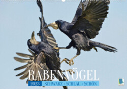 Rabenvögel: Schwarz, schlau, schön (Wandkalender 2023 DIN A2 quer)