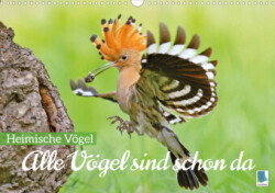 Alle Vögel sind schon da: Heimische Vögel (Wandkalender 2023 DIN A3 quer)