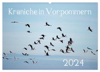 Kraniche in Vorpommern (Wandkalender 2024 DIN A2 quer), CALVENDO Monatskalender