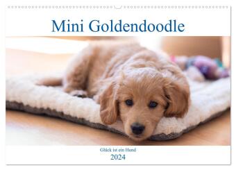 Mini Goldendoodle - Glück ist ein Hund (Wandkalender 2024 DIN A2 quer), CALVENDO Monatskalender