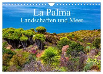 La Palma - Landschaften und Meer (Wandkalender 2024 DIN A4 quer), CALVENDO Monatskalender